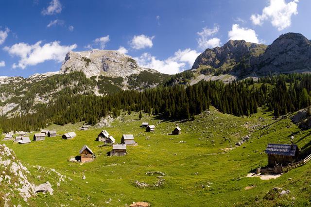 Debeli vrh, Ogradi in planina Laz Debeli vrh, Ogradi in planina Laz