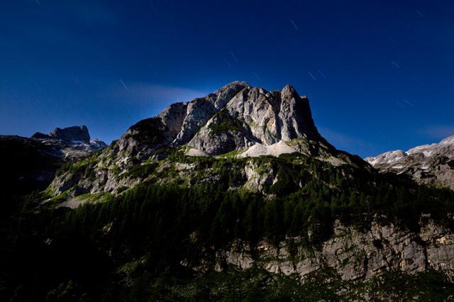 Koštrunovec ponoči