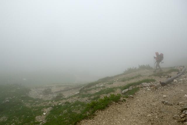 Hoja v dežju in megli Hoja v dežju in megli