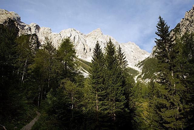 Koroška in Štajerska Rinka