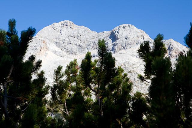 Triglav in ruševje