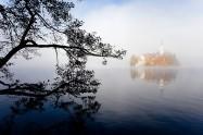 Blejski otok