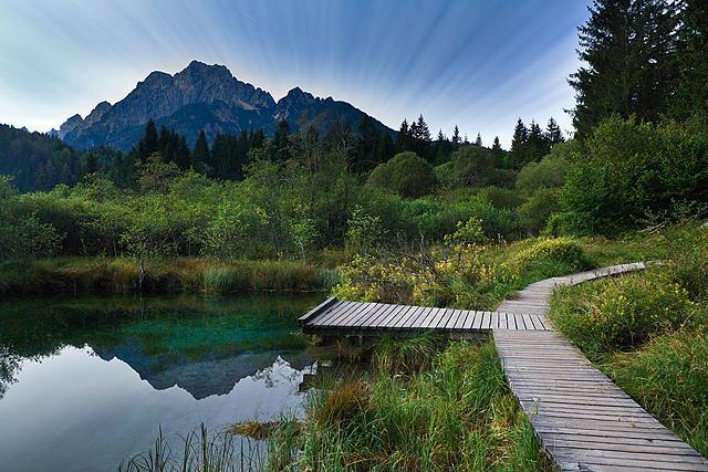 Zelenci Zelenci