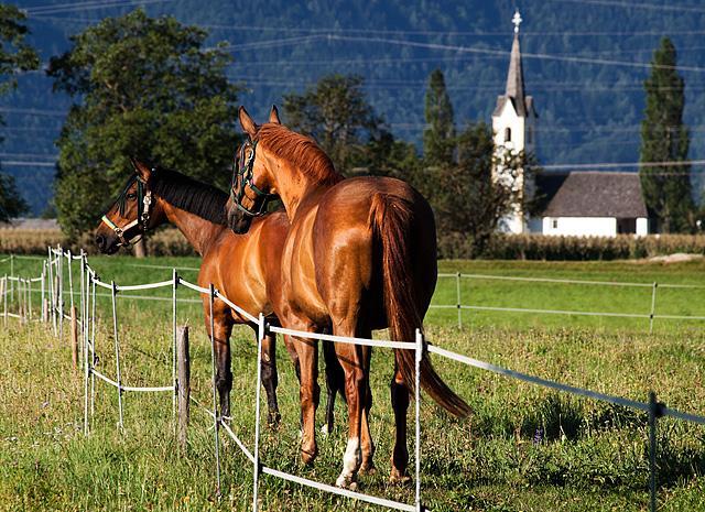 Fotografija občina Žirovnica