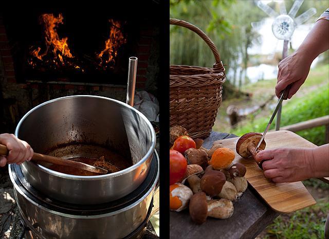 Nabiranje gob in kuhanje golaža
