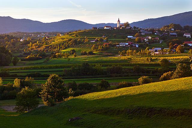 Metlika Gornja Lokvica 