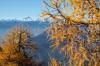 Triglav skozi jesenske macesne