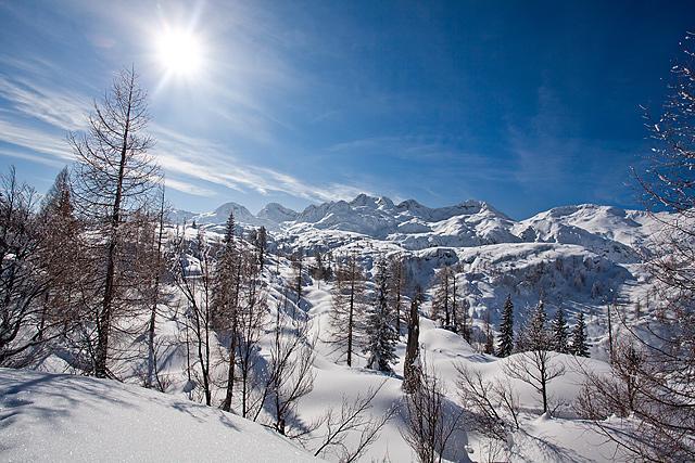 Spodnje Bohinjske gore