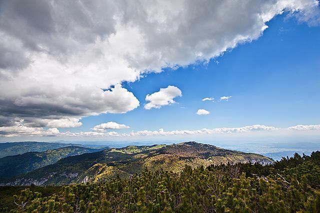 Velika planina