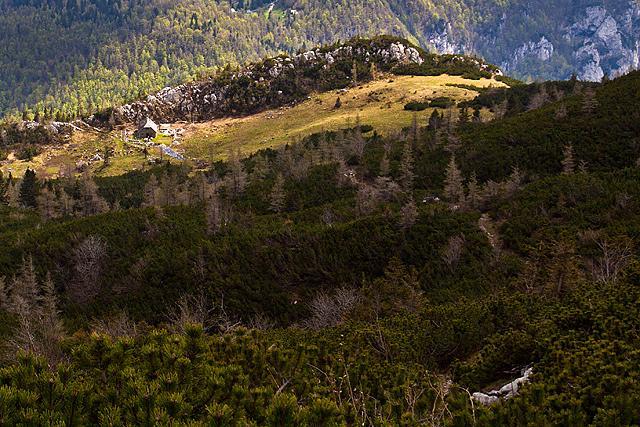 Planina Rzenik