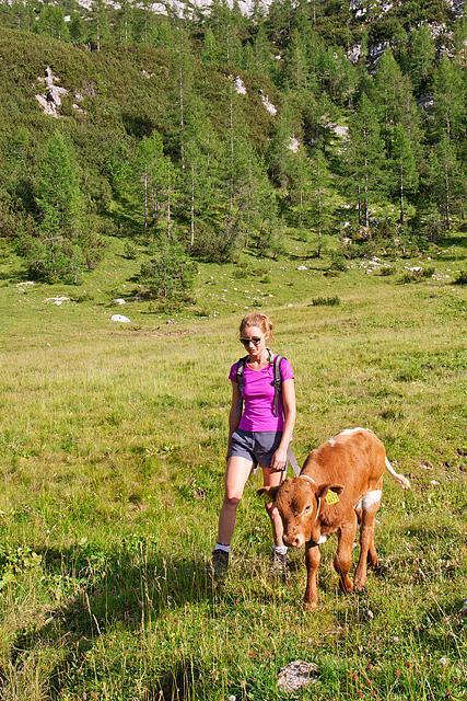Teliček na Velem polju