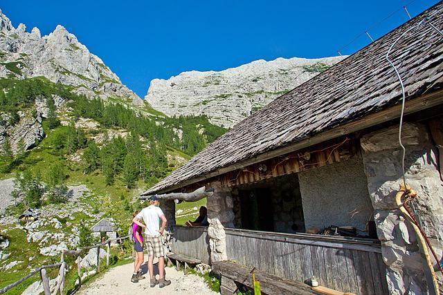 Pastir na Velem polju