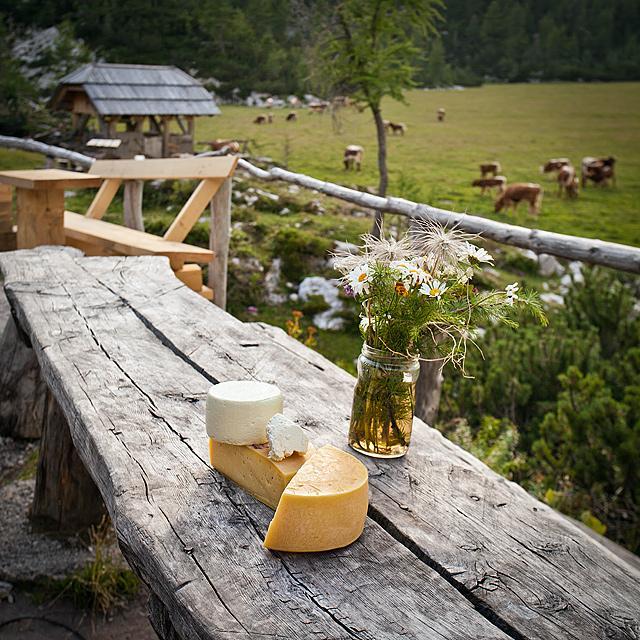 Sir z gorskih planin