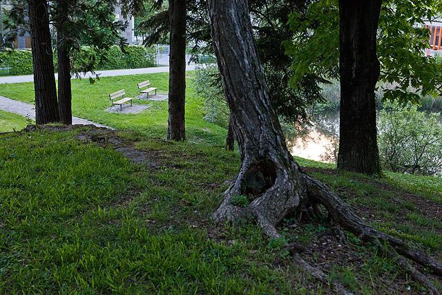 Park v Novi Gorici