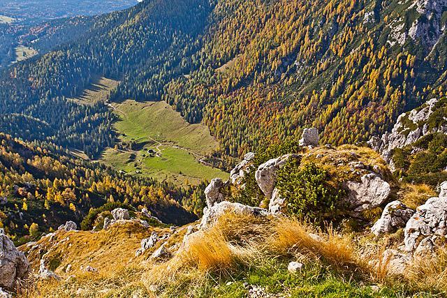 Konjščica