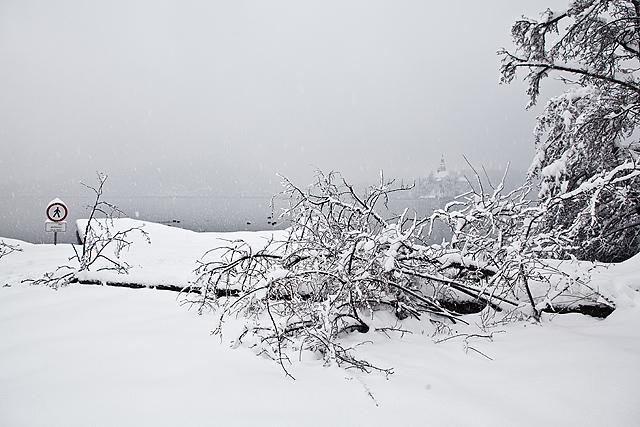 Snegolom Blejsko jezero