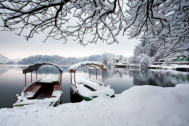Pletne Bled pozimi