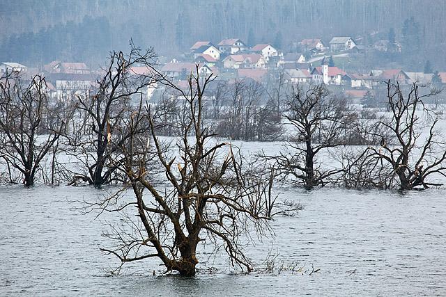 Jakovica