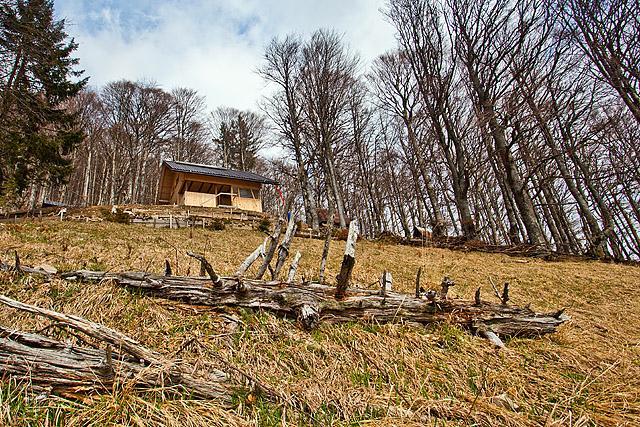 Zavetišče v Hudičevem borštu