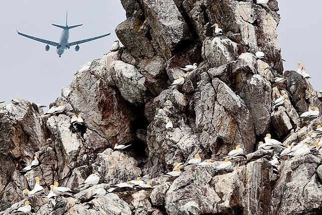 Strmoglavci in letalo