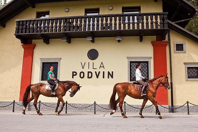 VIla Podvin konji