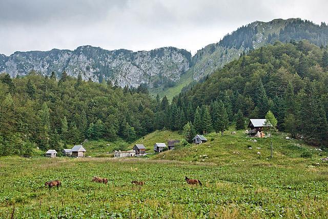 Planina za Črno goro