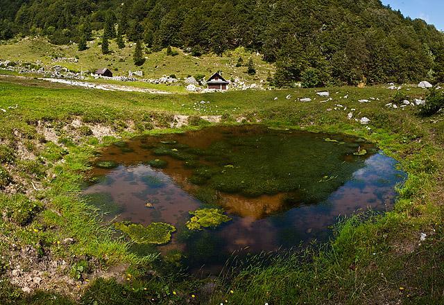 Planina Suha