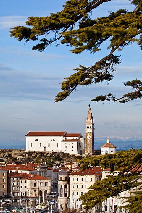 Piran marina