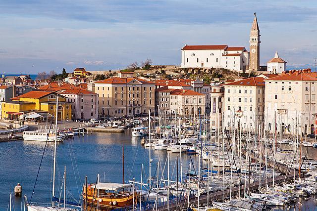 Piran marina