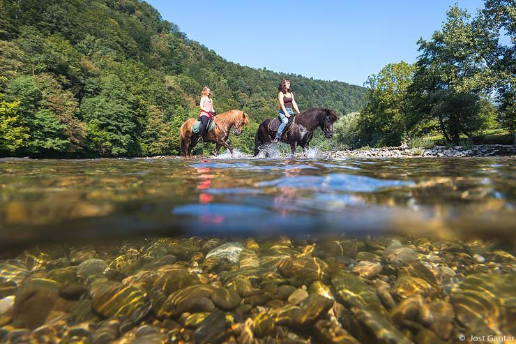 Kolpa konji