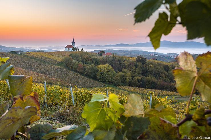 Vidošiči Bela krajina